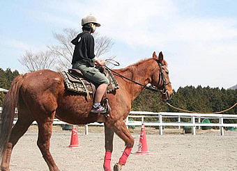 富士山こどもの国